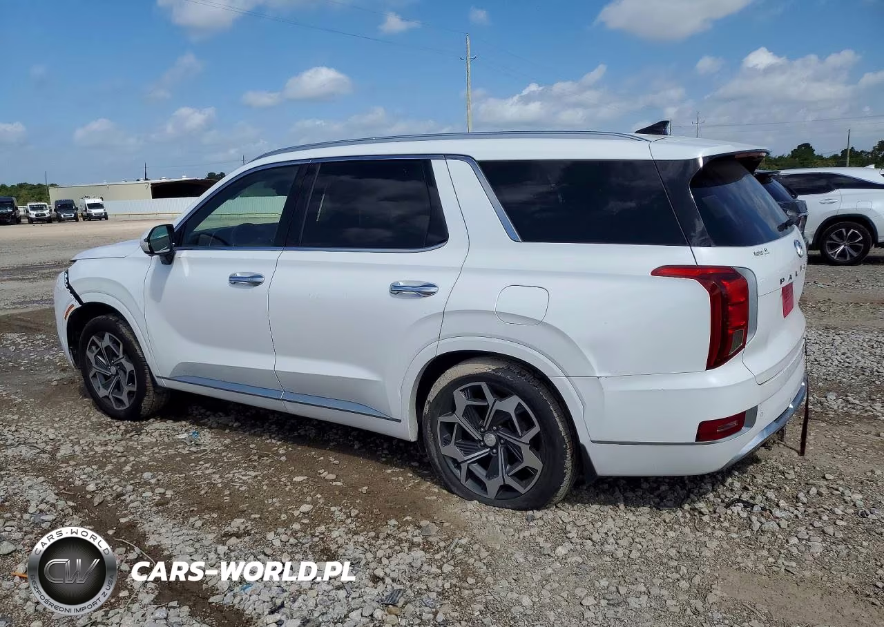 2021 Hyundai Palisade Calligraphy VIN:KM8R7DHE2MU195443 - 2