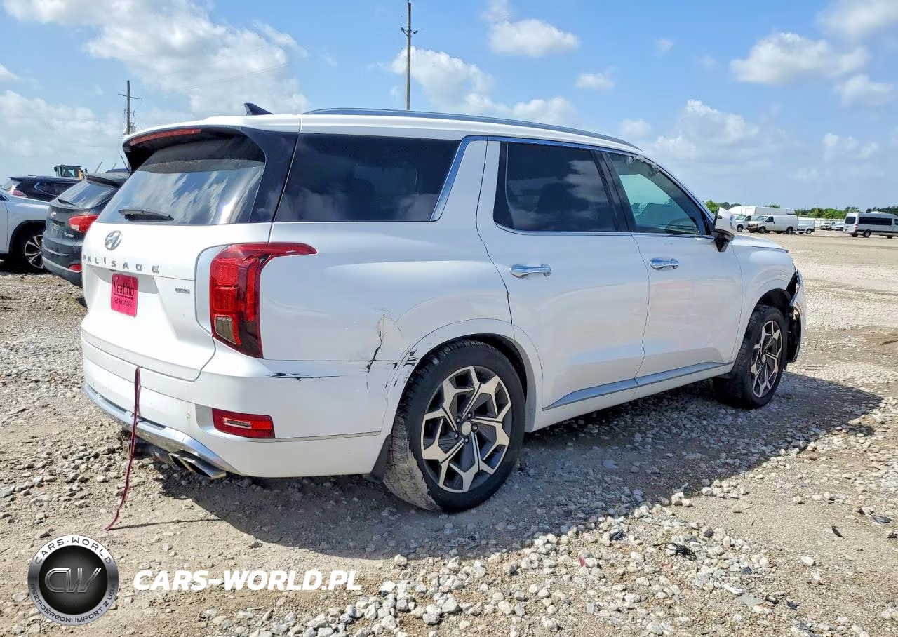 2021 Hyundai Palisade Calligraphy VIN:KM8R7DHE2MU195443 - 3