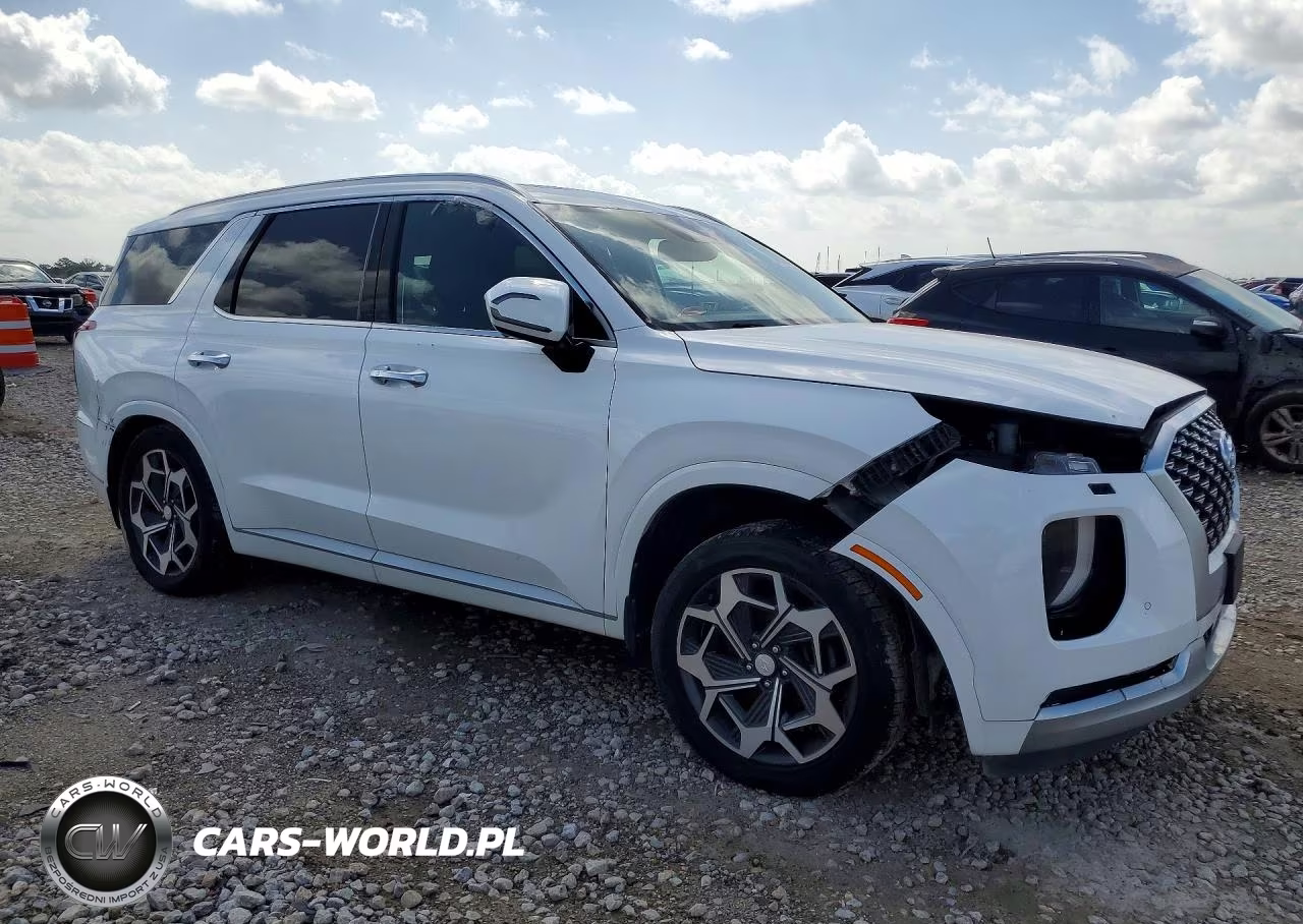 2021 Hyundai Palisade Calligraphy VIN:KM8R7DHE2MU195443 - 4