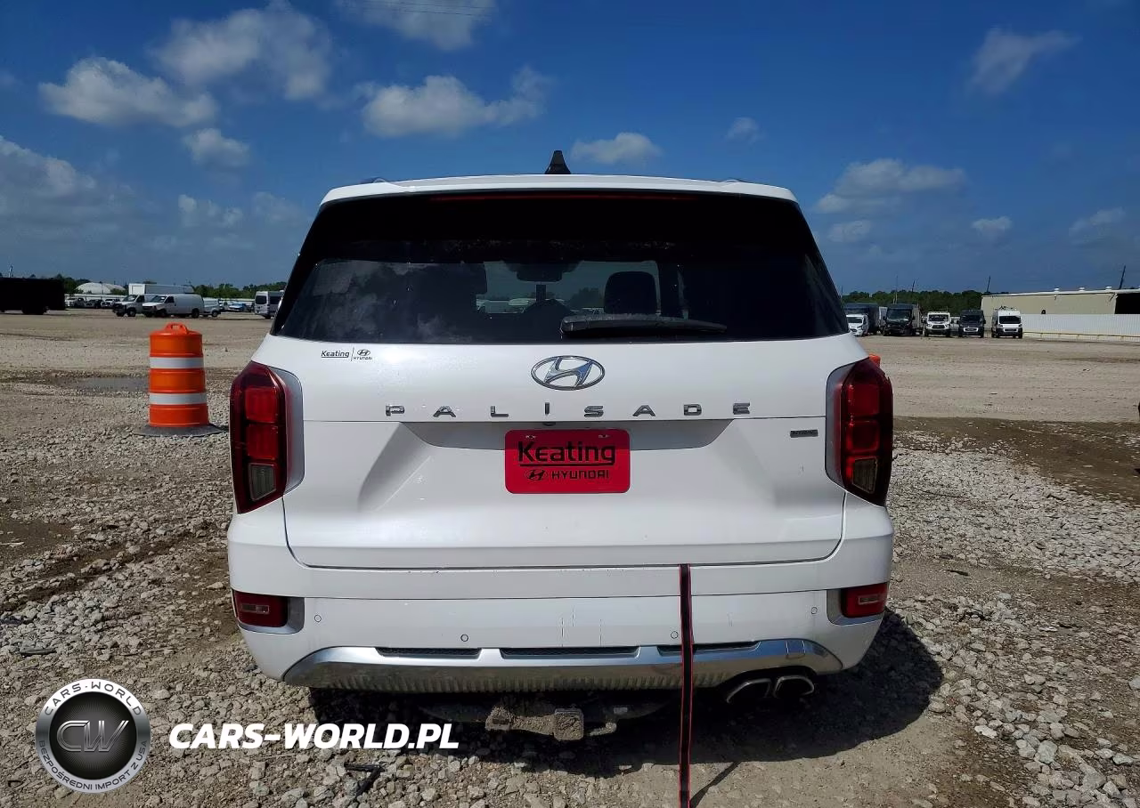 2021 Hyundai Palisade Calligraphy VIN:KM8R7DHE2MU195443 - 6