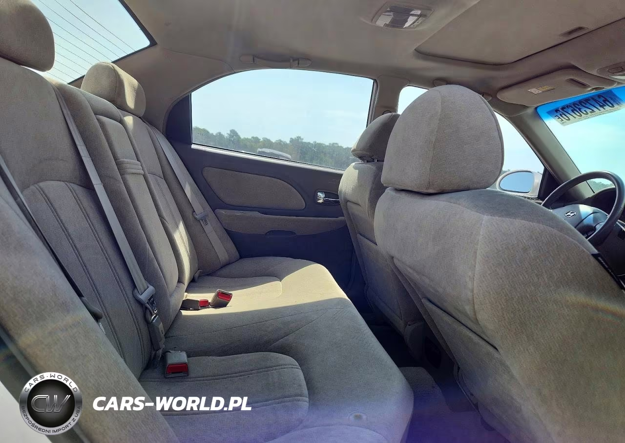 2004 Hyundai Sonata Gls VIN:KMHWF35HX4A911523 - 10
