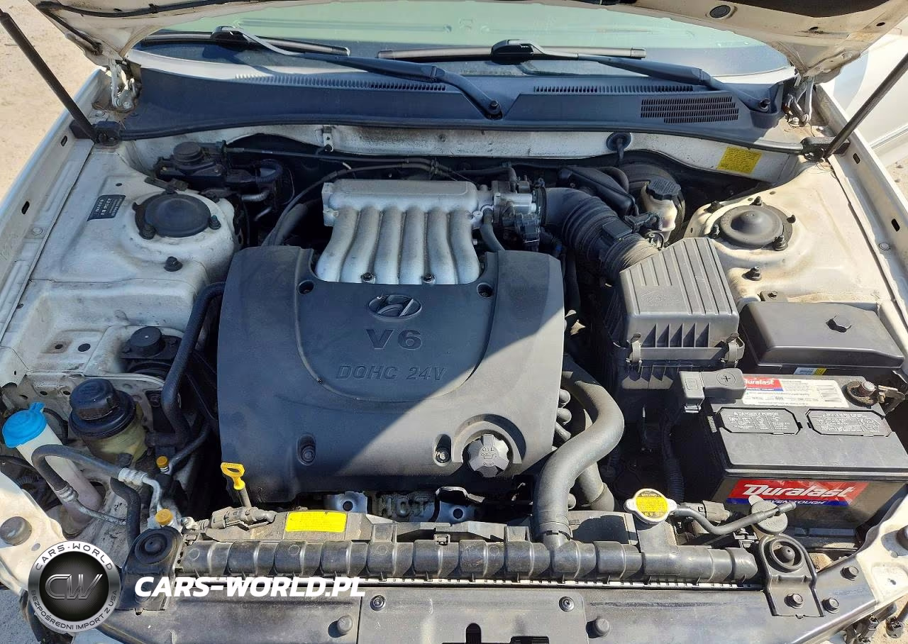 2004 Hyundai Sonata Gls VIN:KMHWF35HX4A911523 - 11