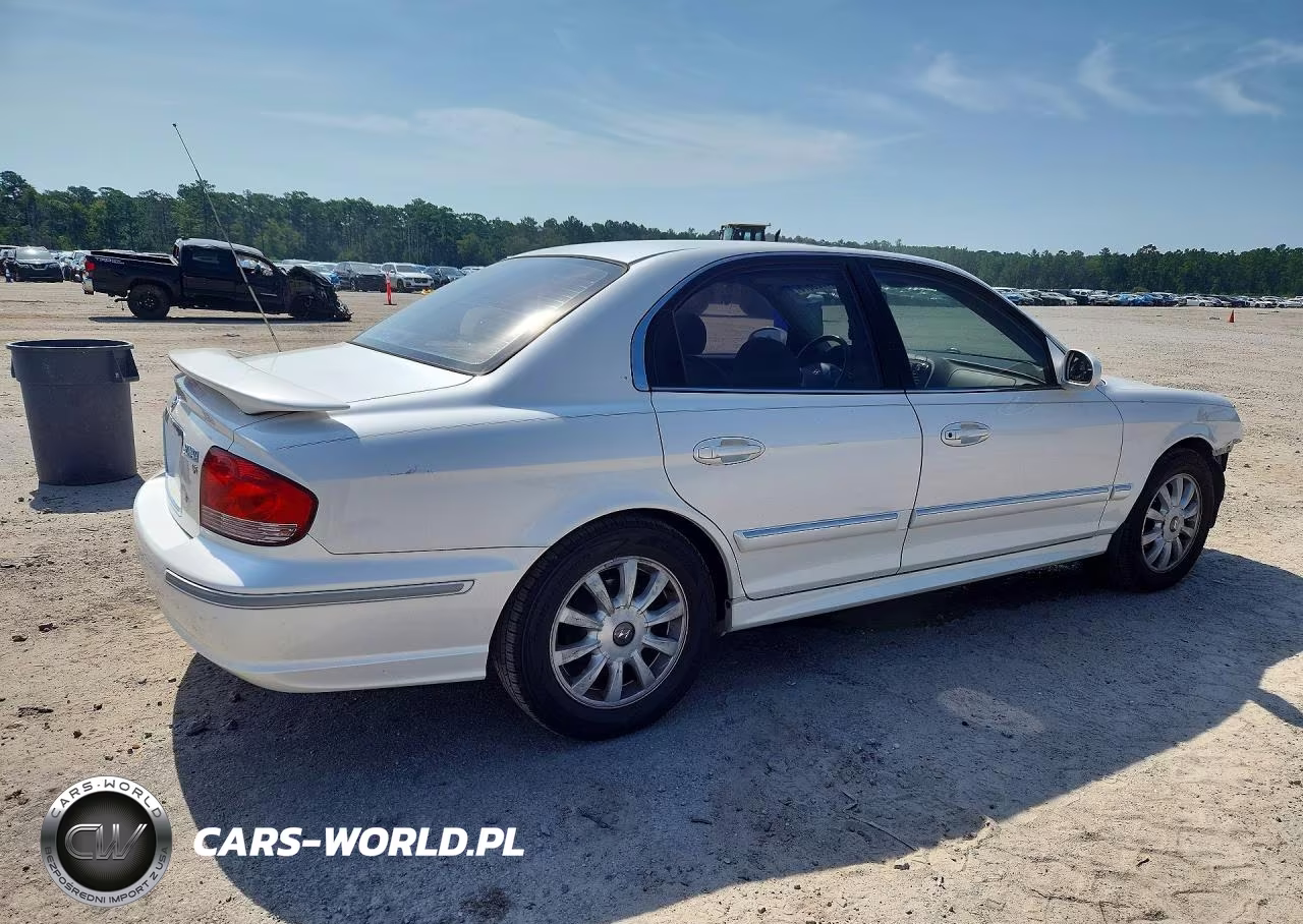 2004 Hyundai Sonata Gls VIN:KMHWF35HX4A911523 - 3