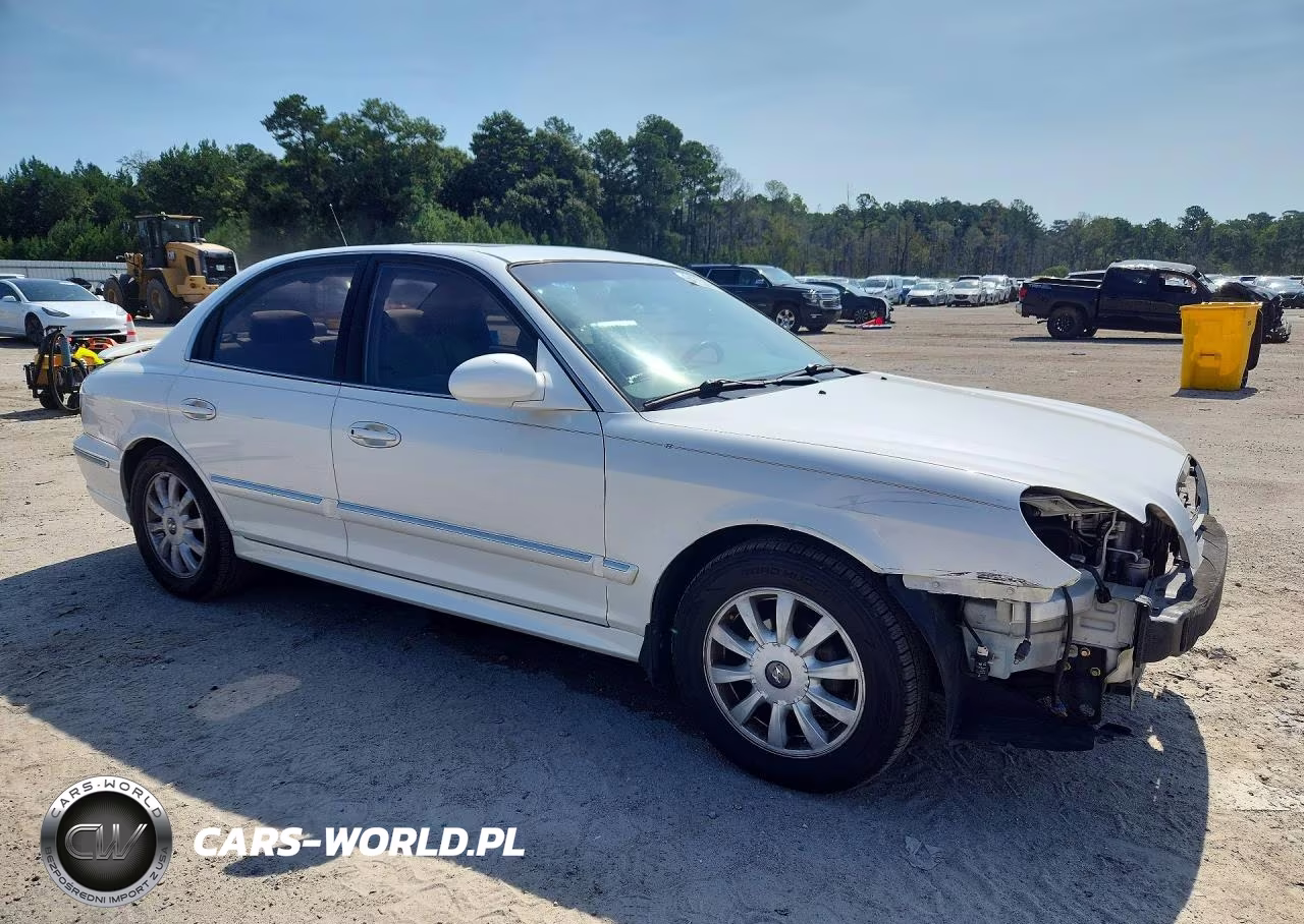 2004 Hyundai Sonata Gls VIN:KMHWF35HX4A911523 - 4