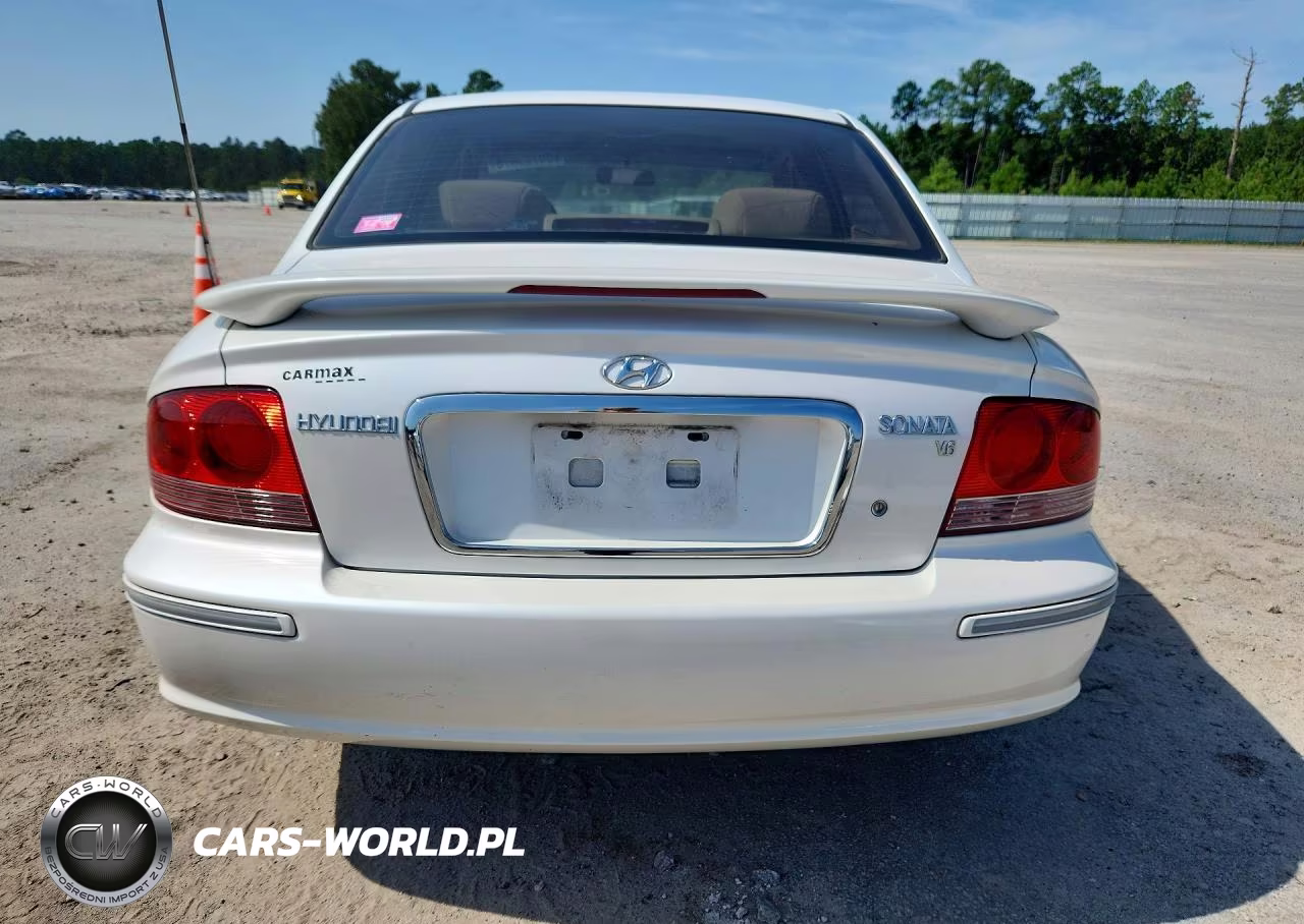 2004 Hyundai Sonata Gls VIN:KMHWF35HX4A911523 - 6