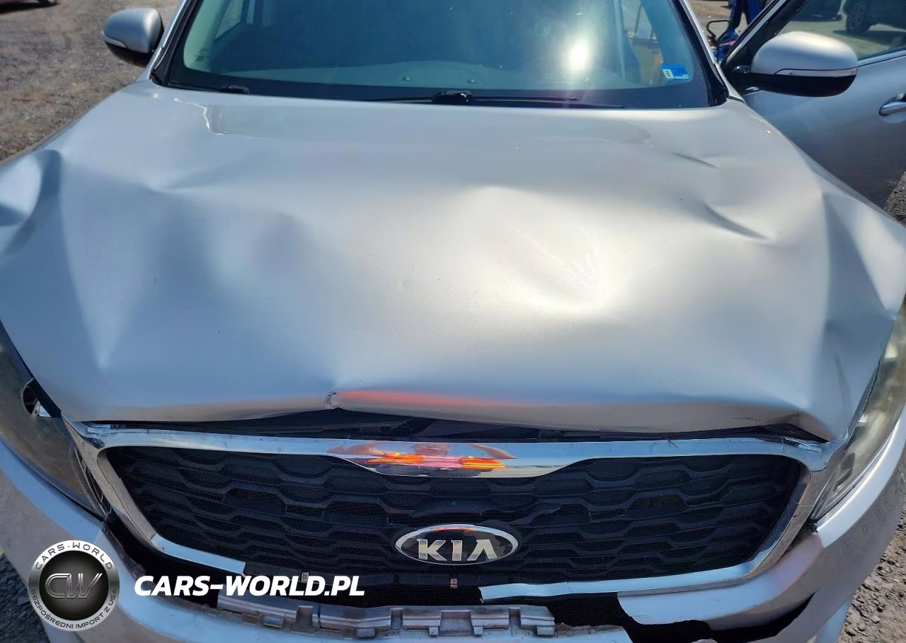 2019 Kia Sorento Lx VIN:5XYPGDA34KG439306 - 12