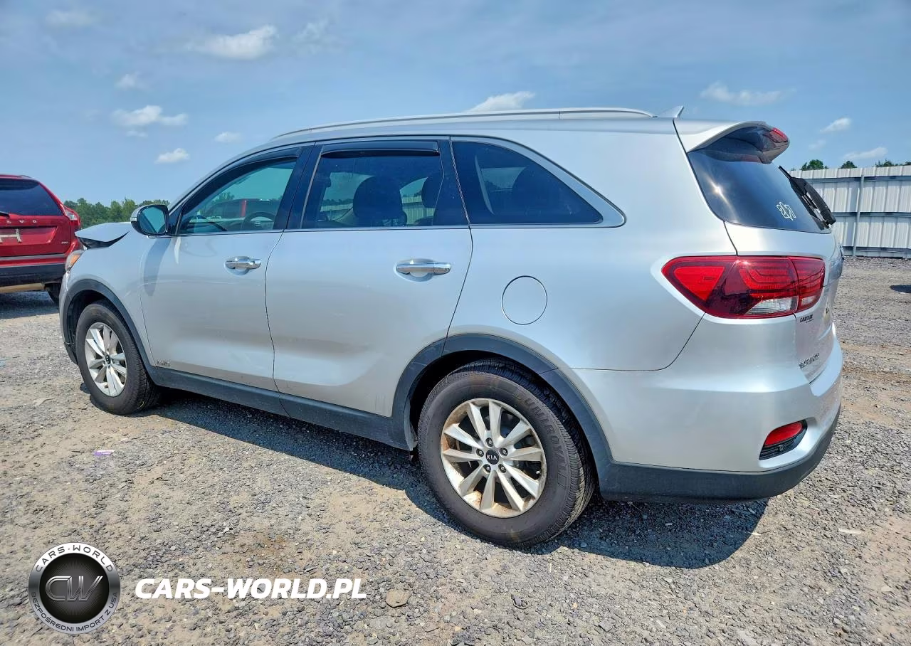 2019 Kia Sorento Lx VIN:5XYPGDA34KG439306 - 2