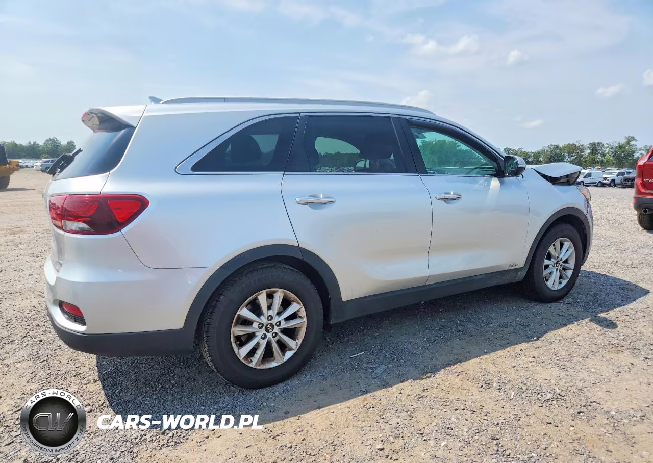 2019 Kia Sorento Lx VIN:5XYPGDA34KG439306 - 3