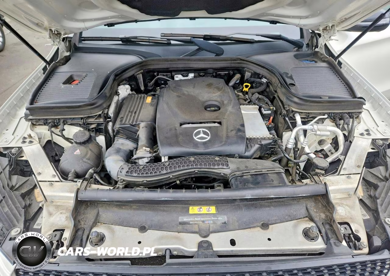 2017 Mercedes-Benz Glc Coupe 300 4Matic VIN:WDC0J4KB1HF285183 - 11