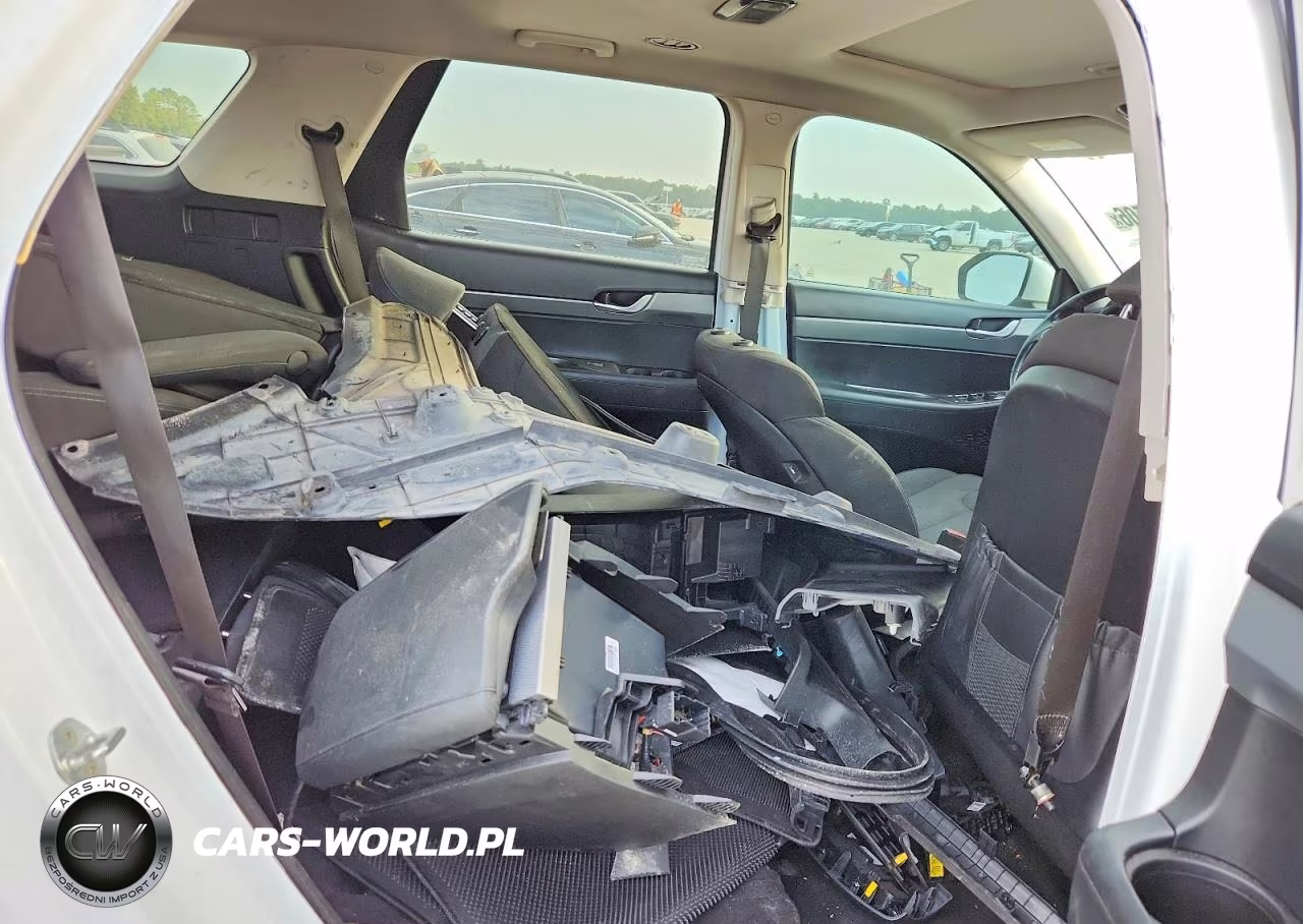 2022 Hyundai Palisade Sel VIN:KM8R2DHEXNU473912 - 10