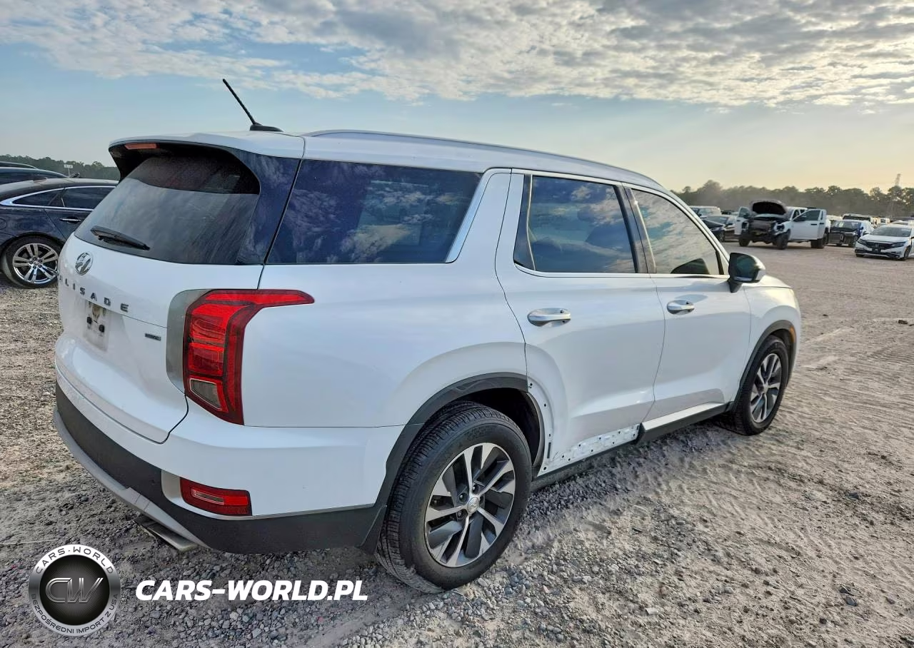 2022 Hyundai Palisade Sel VIN:KM8R2DHEXNU473912 - 3
