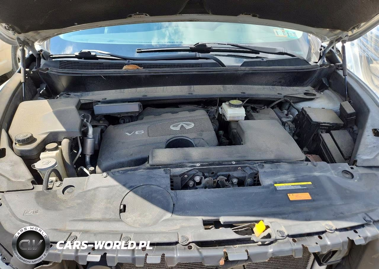 2019 Infiniti Qx60 Pure VIN:5N1DL0MMXKC511976 - 12
