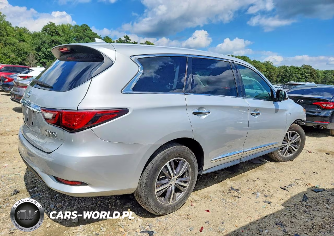 2019 Infiniti Qx60 Pure VIN:5N1DL0MMXKC511976 - 3