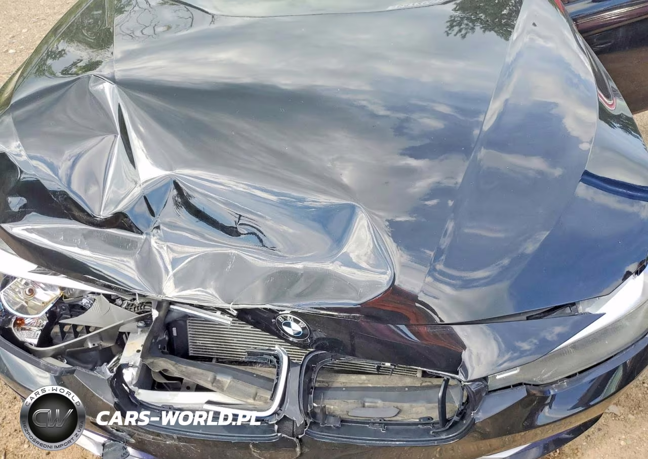 2013 BMW 328 Xi VIN:WBA3B3C53DF537350 - 11