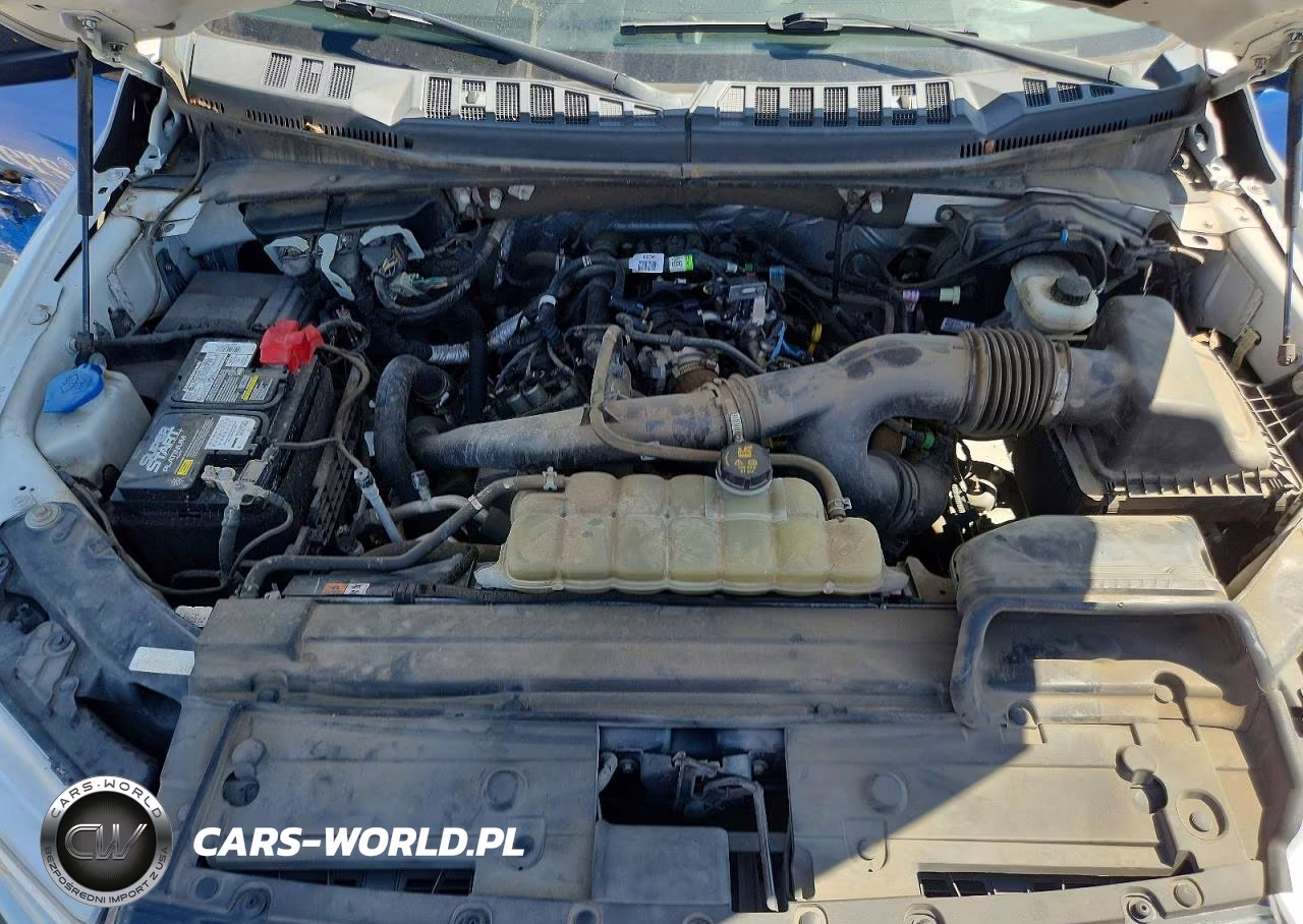 2020 Ford F150 Supercrew VIN:1FTEW1EPXLKE04545 - 11