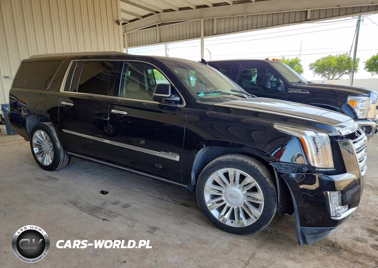 2016 Cadillac Escalade Esv Platinum VIN:1GYS4KKJ6GR349033 - 4