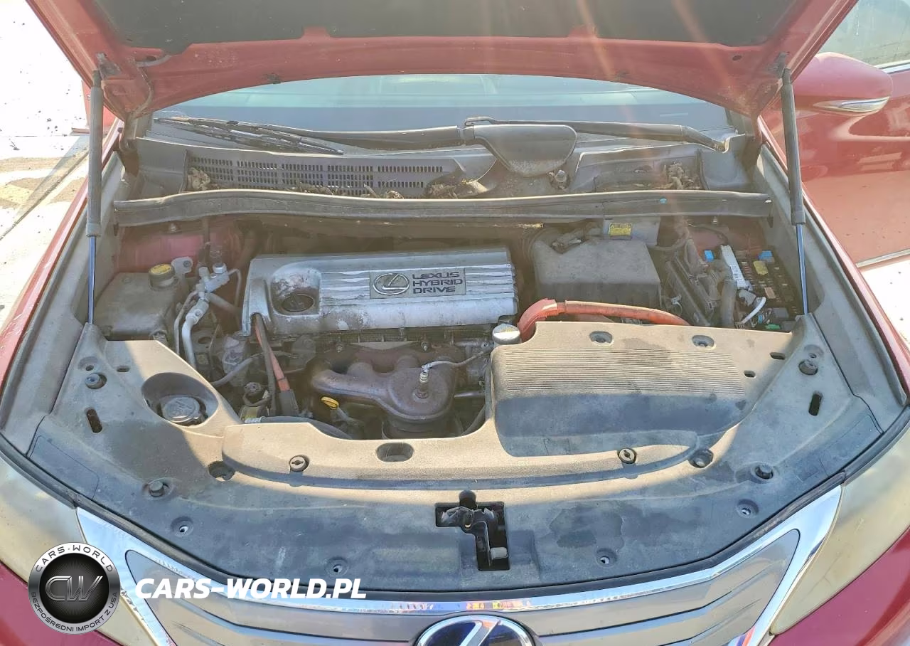 2010 Lexus Hs 250H VIN:JTHBB1BA1A2025010 - 11