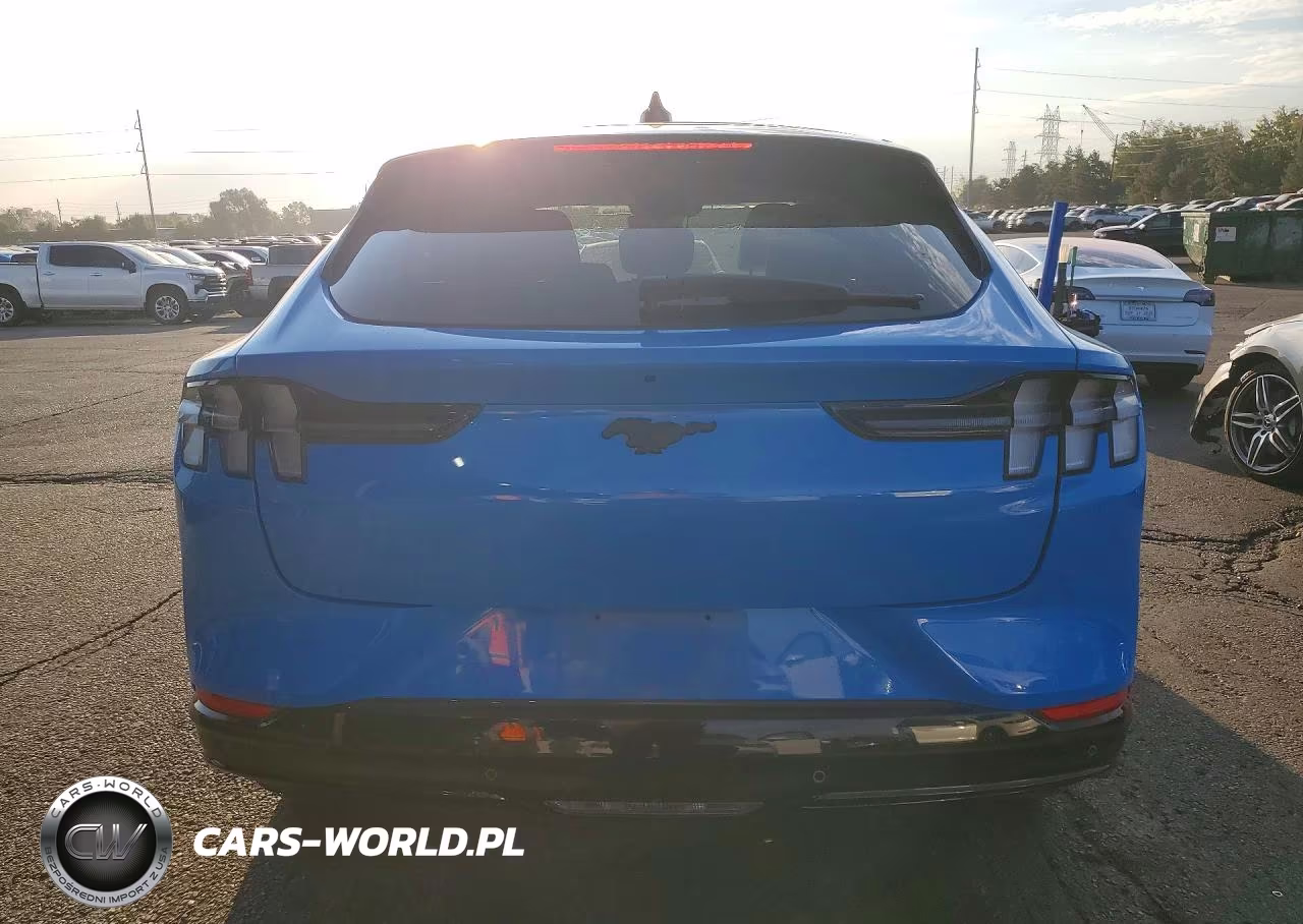 2023 Ford Mustang Mach-E Premium VIN:3FMTK3SU0PMA06330 - 6
