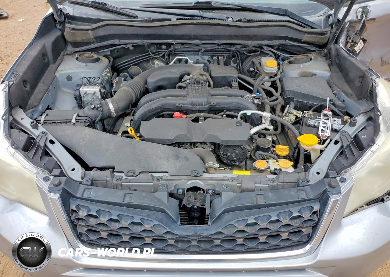 2014 Subaru Forester 2.5I Premium VIN:JF2SJAEC6EH487066 - 12