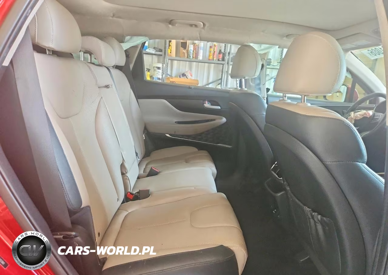 2019 Hyundai Santa Fe Ultimate 2.4L VIN:5NMS53AD6KH133801 - 10