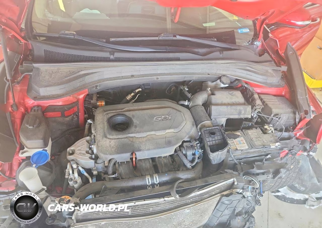 2019 Hyundai Santa Fe Ultimate 2.4L VIN:5NMS53AD6KH133801 - 11