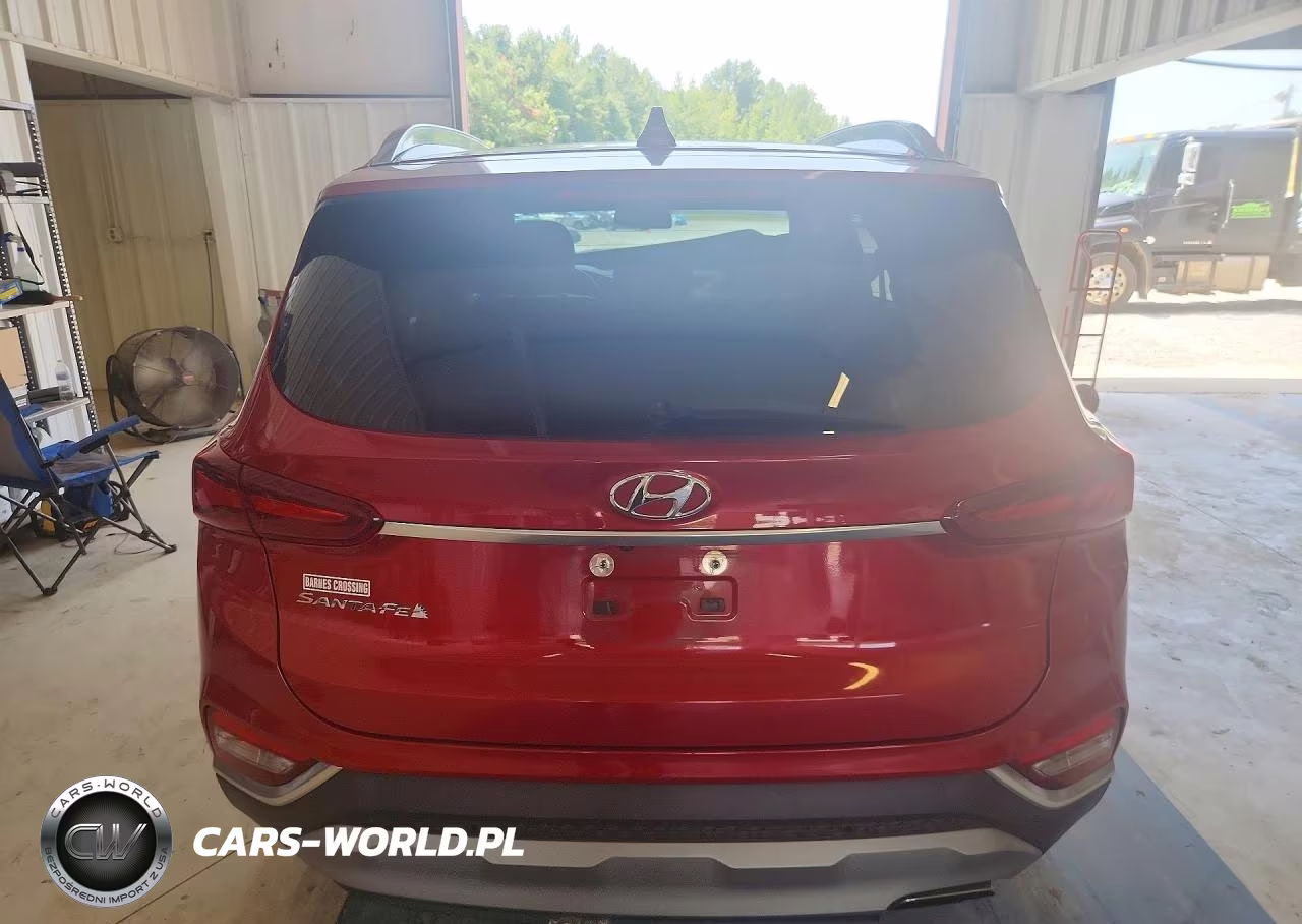 2019 Hyundai Santa Fe Ultimate 2.4L VIN:5NMS53AD6KH133801 - 6