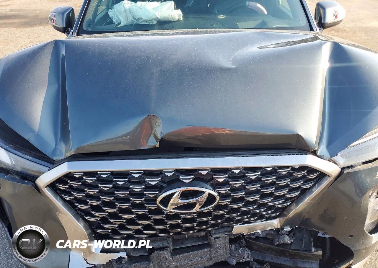 2022 Hyundai Palisade Calligraphy VIN:KM8R74HE9NU356632 - 12