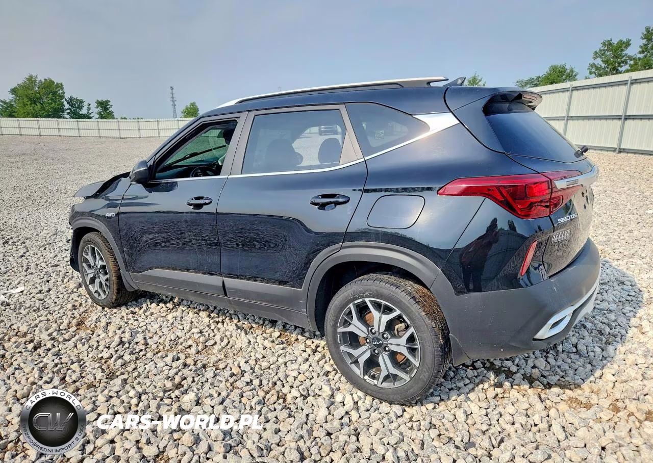 2022 Kia Seltos Ex VIN:KNDERCAA8N7302770 - 2