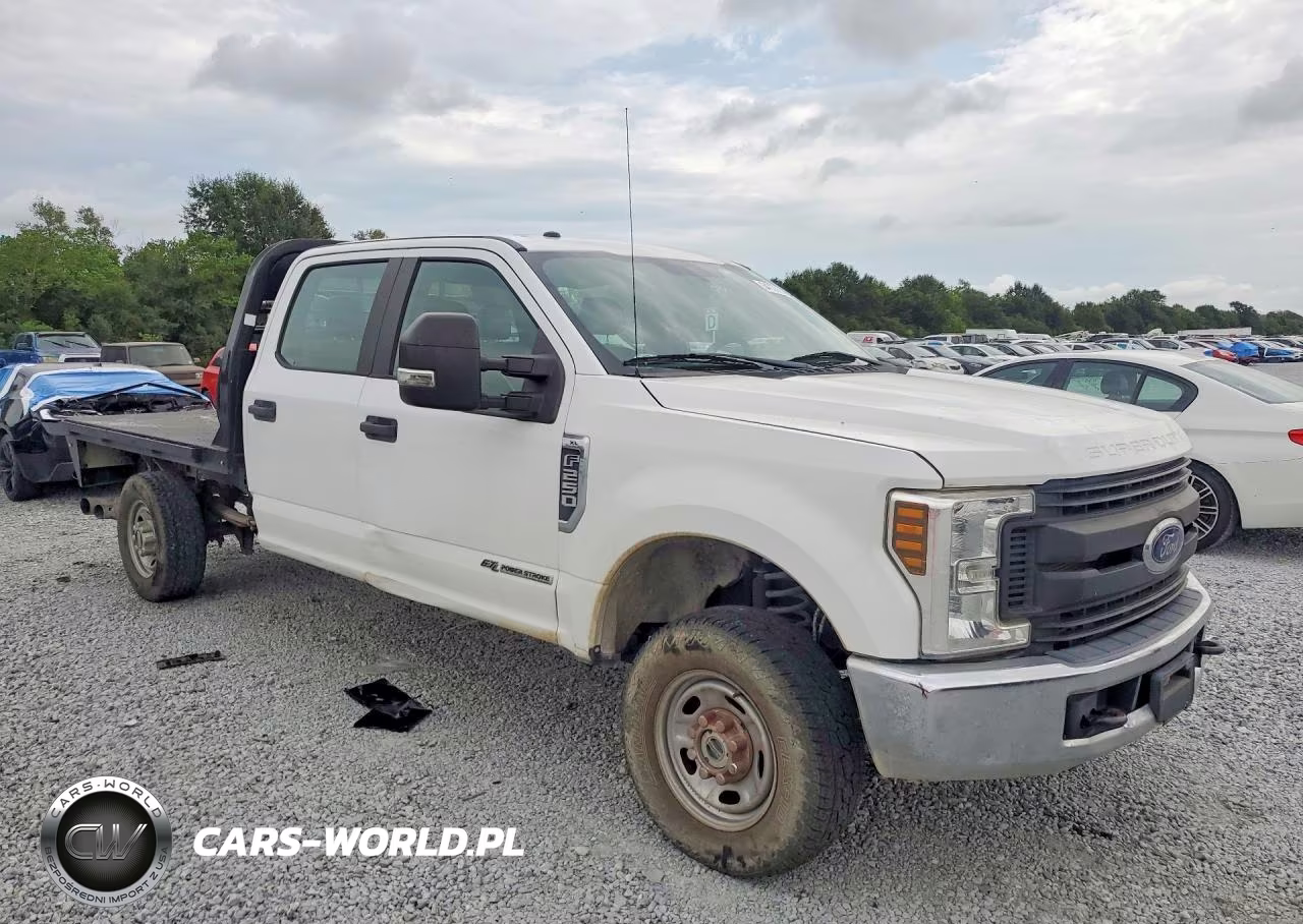 2019 Ford F250 Super Duty VIN:1FD7W2BT2KEE14592 - 4