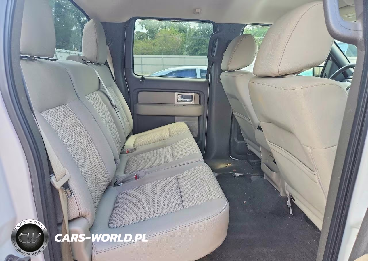 2010 Ford F150 Supercrew VIN:1FTEW1C86AFD50839 - 10