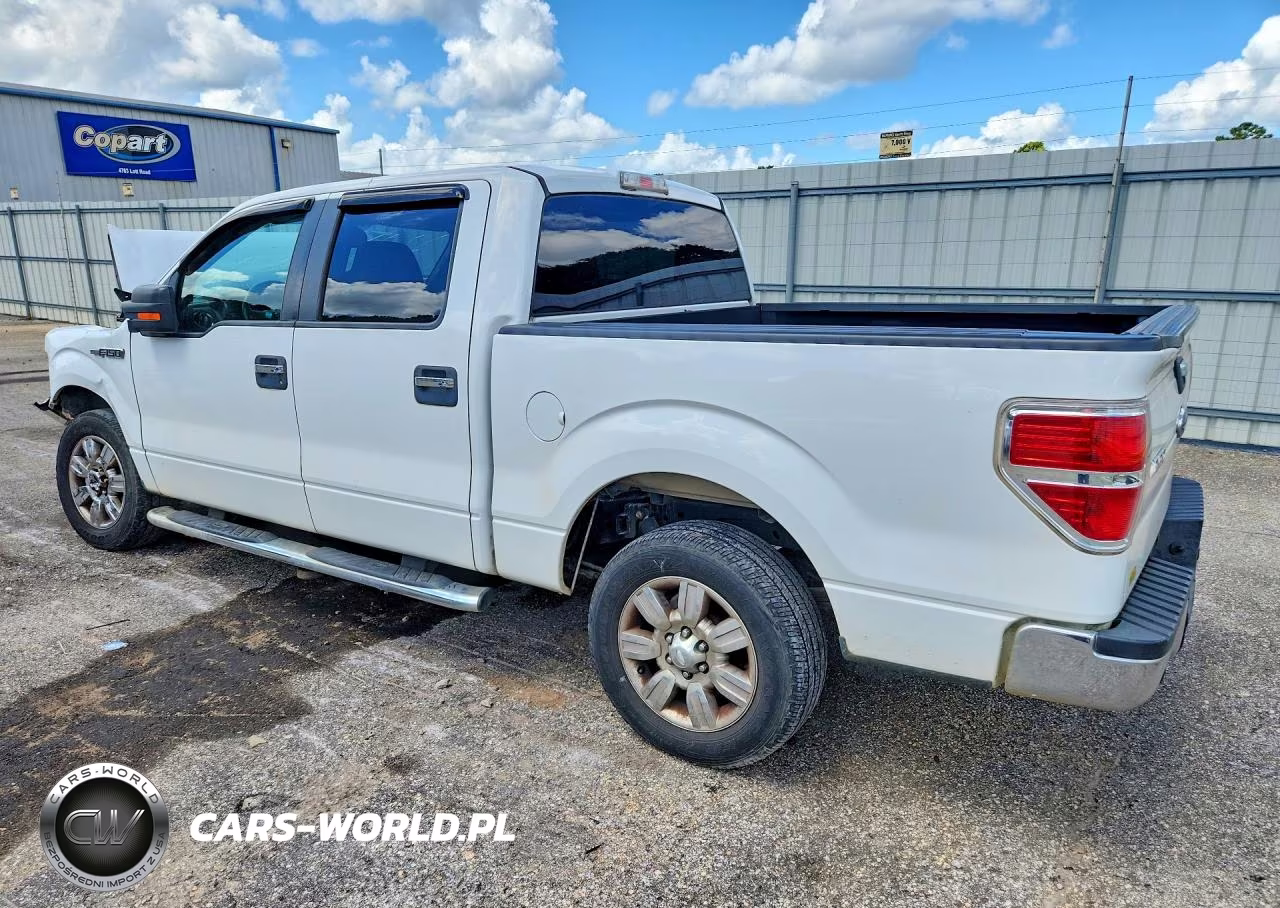 2010 Ford F150 Supercrew VIN:1FTEW1C86AFD50839 - 2