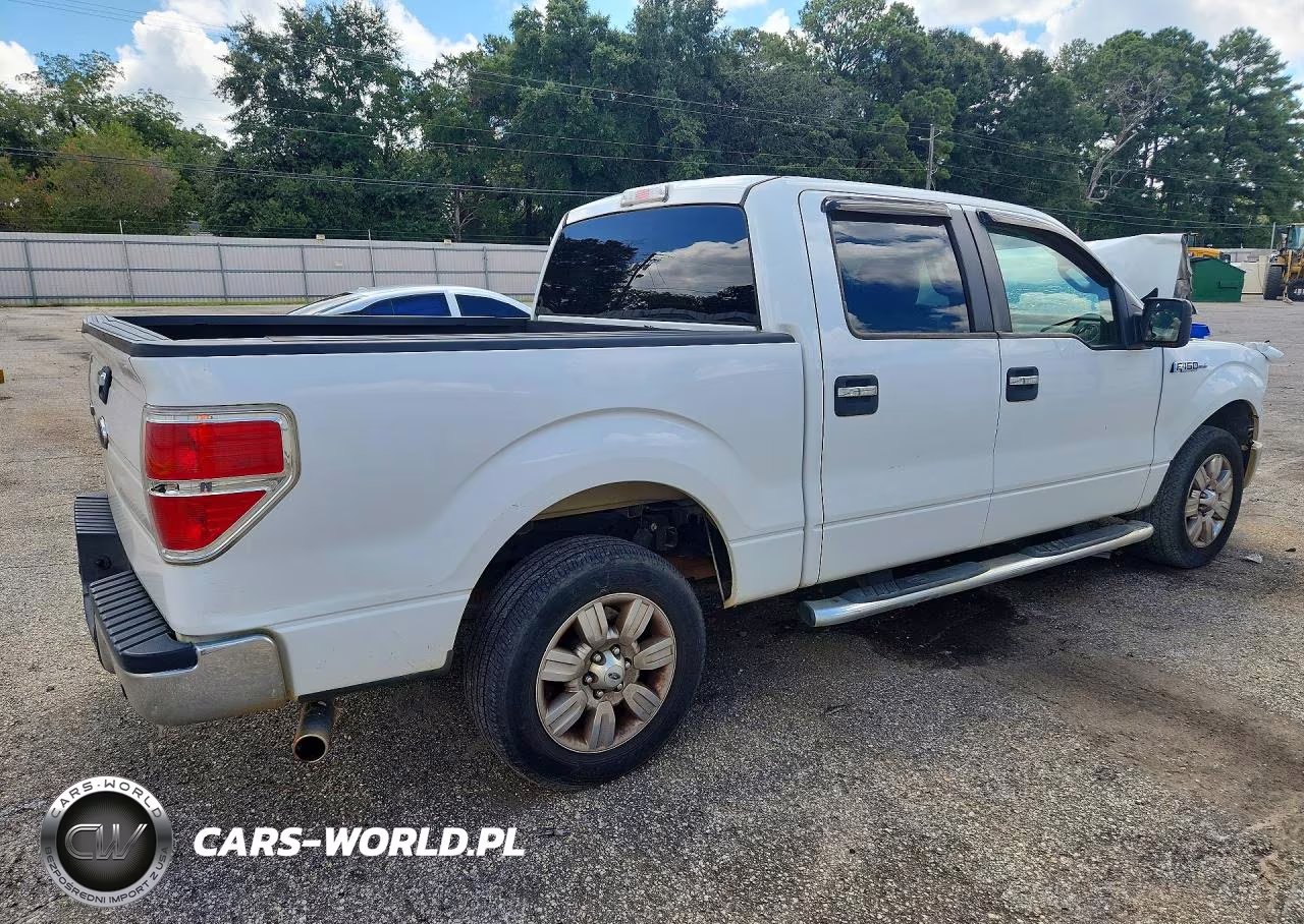 2010 Ford F150 Supercrew VIN:1FTEW1C86AFD50839 - 3