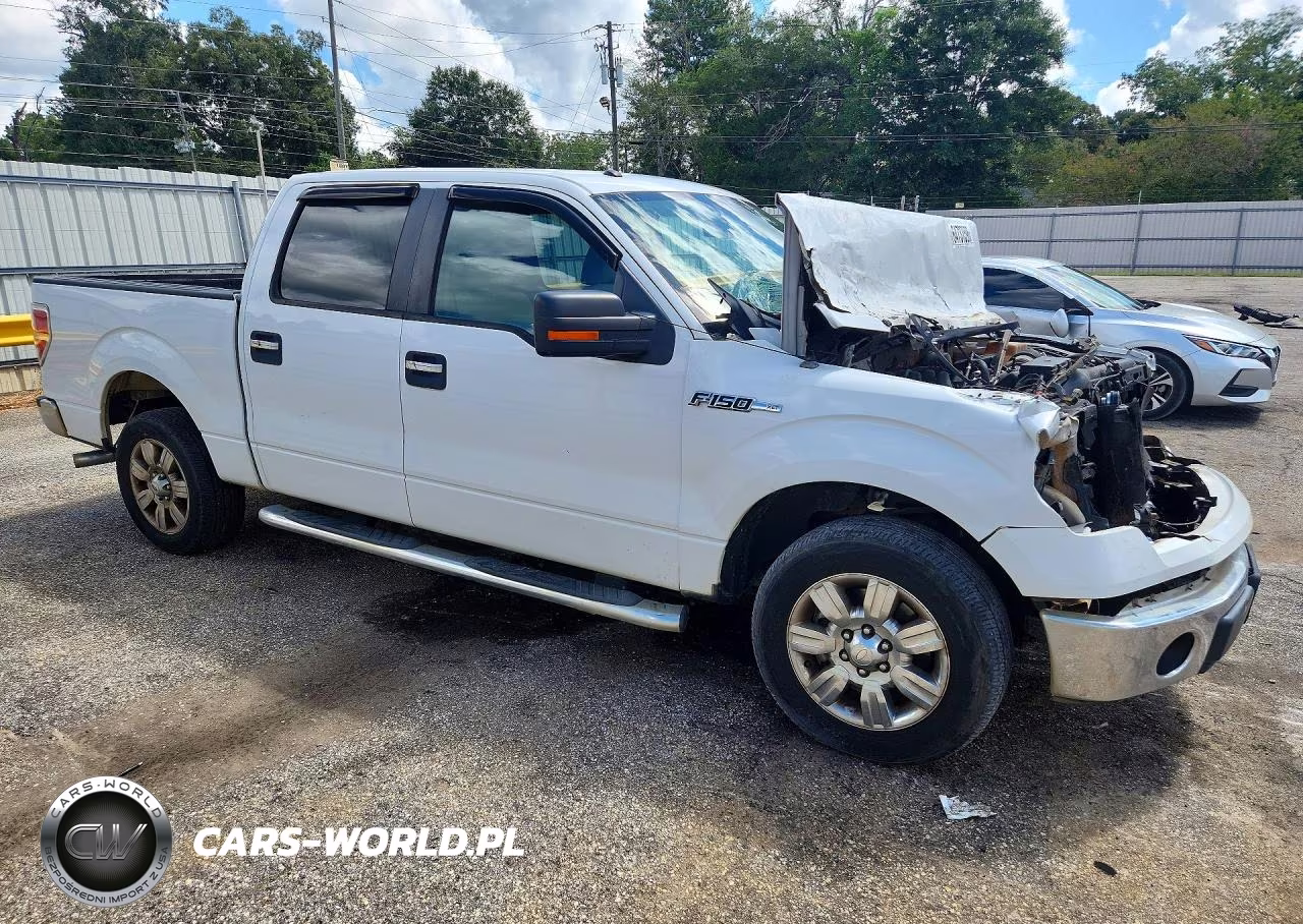 2010 Ford F150 Supercrew VIN:1FTEW1C86AFD50839 - 4
