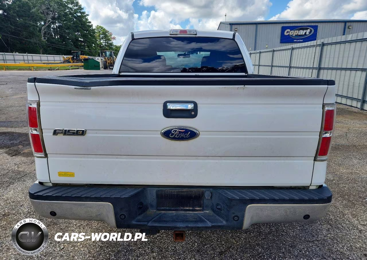 2010 Ford F150 Supercrew VIN:1FTEW1C86AFD50839 - 6