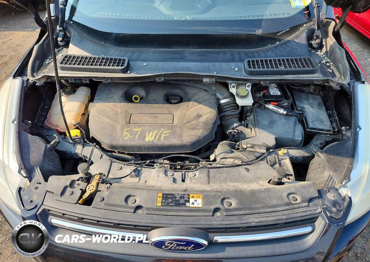 2014 Ford Escape Se VIN:1FMCU9G98EUE04749 - 12