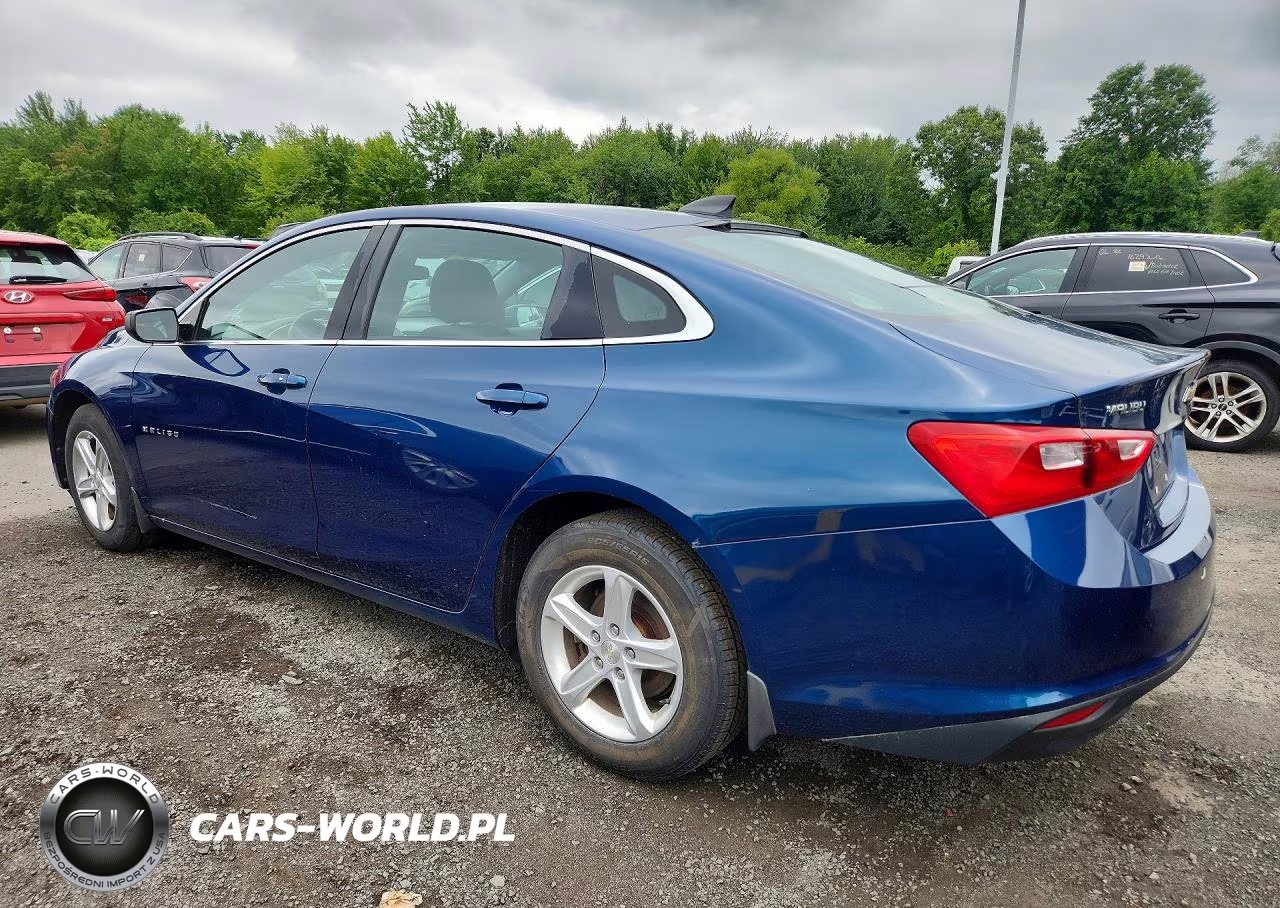 2019 Chevrolet Malibu Ls VIN:1G1ZB5ST9KF214919 - 2