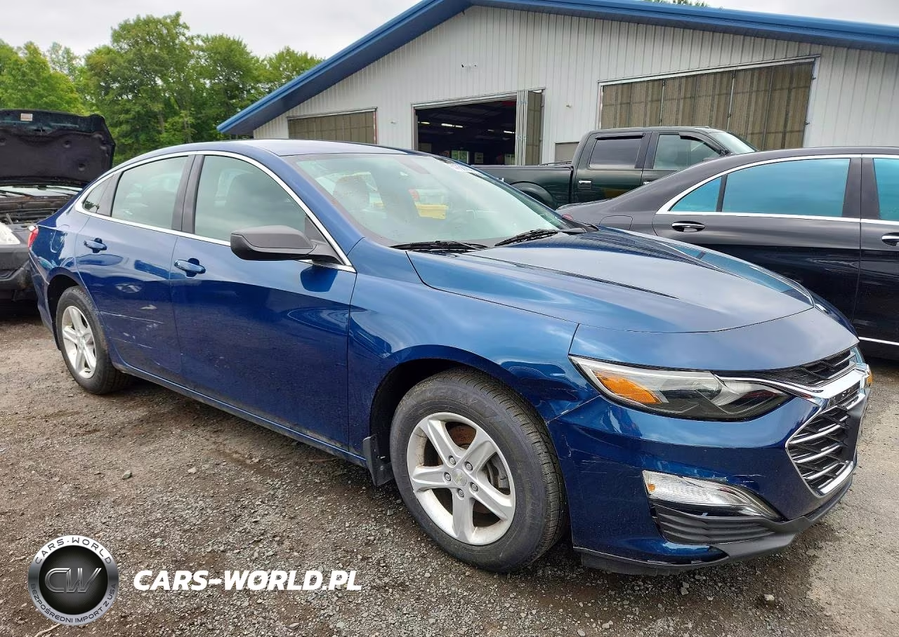 2019 Chevrolet Malibu Ls VIN:1G1ZB5ST9KF214919 - 4