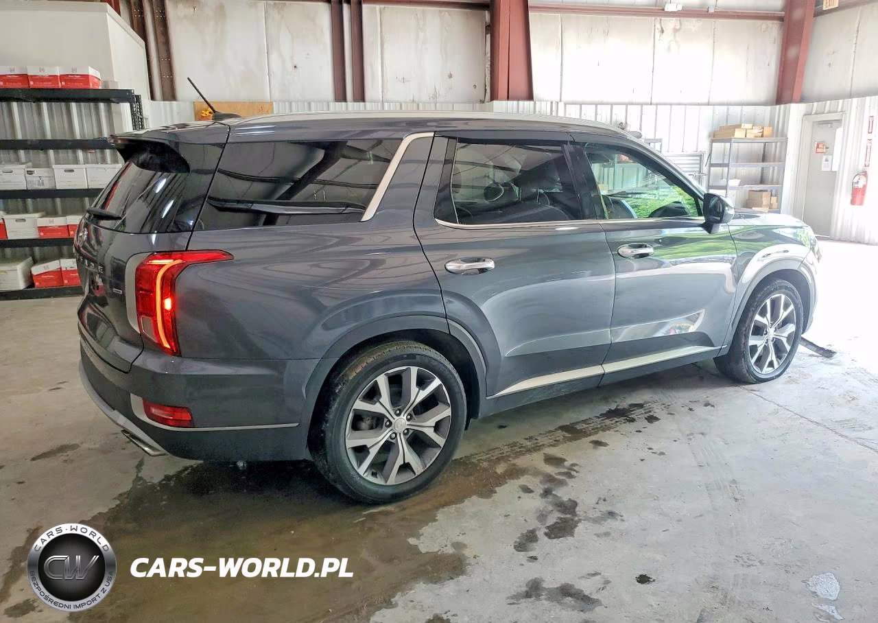 2022 Hyundai Palisade Sel VIN:KM8R3DHEXNU359602 - 3