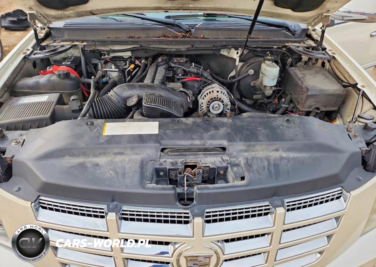 2009 Cadillac Escalade Luxury VIN:1GYFK23279R106252 - 11