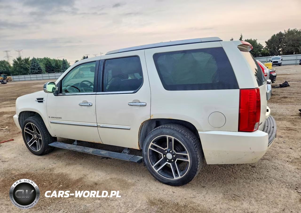 2009 Cadillac Escalade Luxury VIN:1GYFK23279R106252 - 2