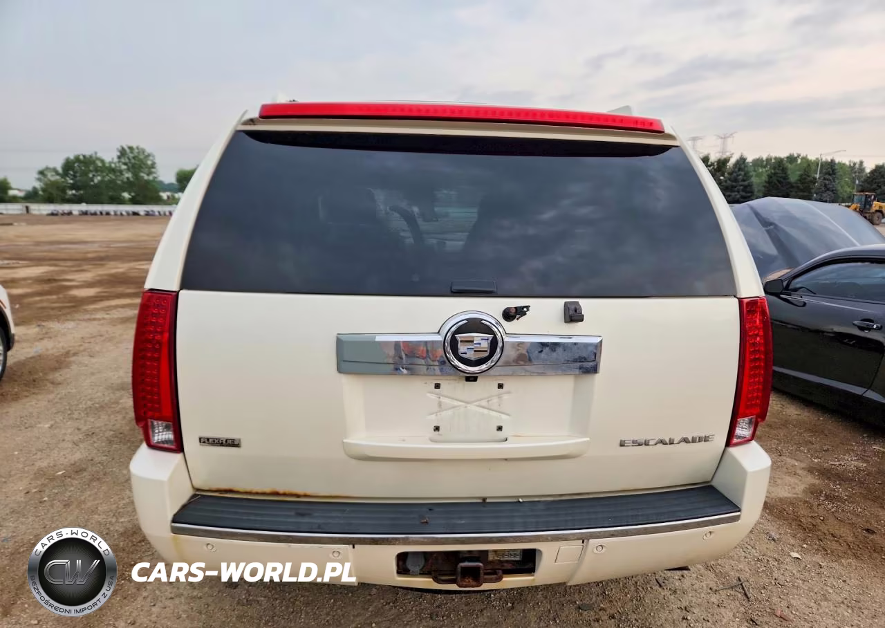 2009 Cadillac Escalade Luxury VIN:1GYFK23279R106252 - 6