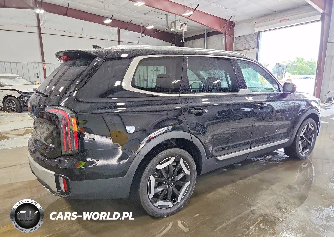 2023 Kia Telluride Ex VIN:5XYP3DGC4PG376816 - 3