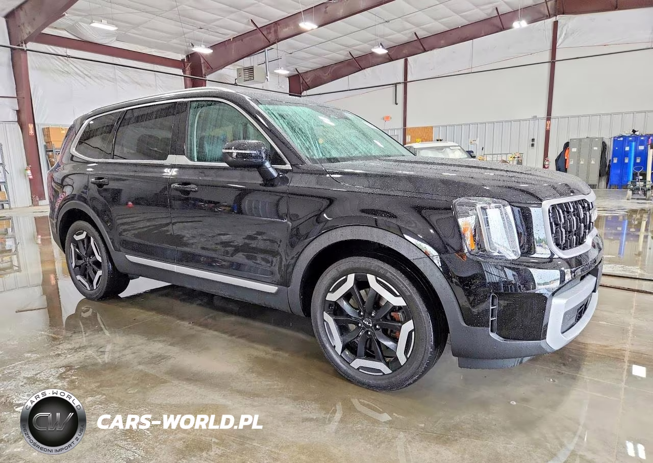 2023 Kia Telluride Ex VIN:5XYP3DGC4PG376816 - 4