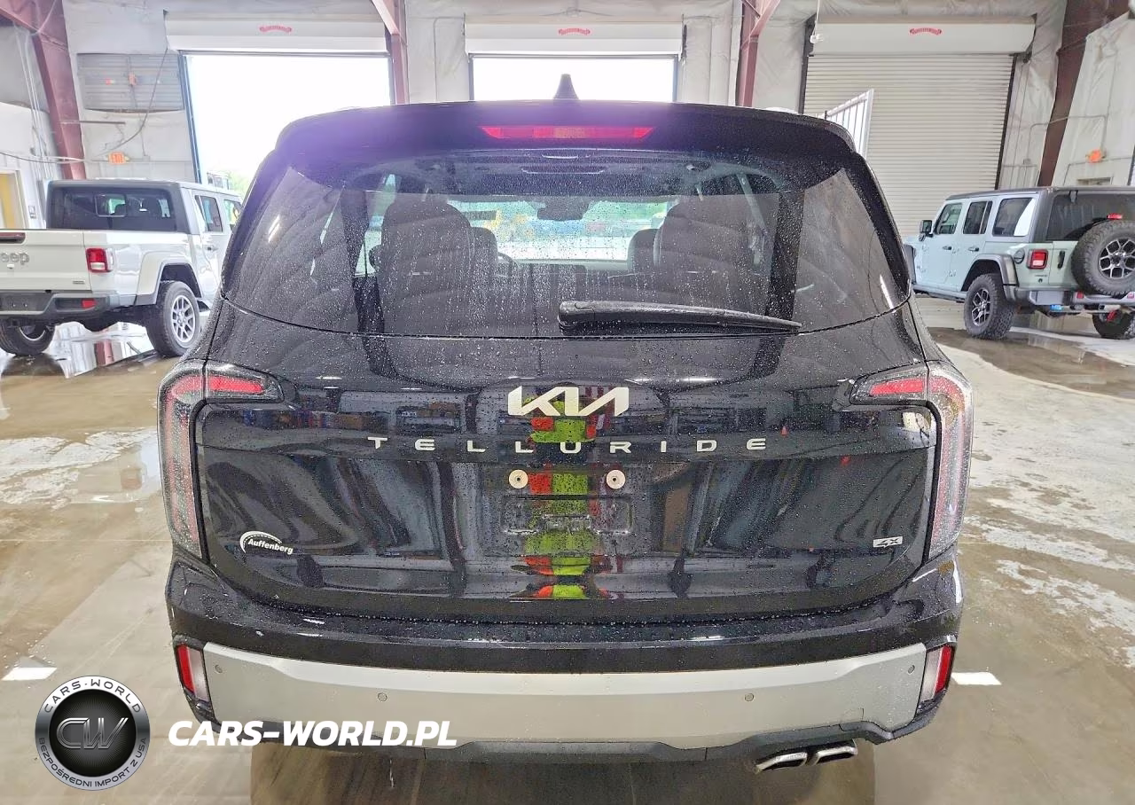 2023 Kia Telluride Ex VIN:5XYP3DGC4PG376816 - 6