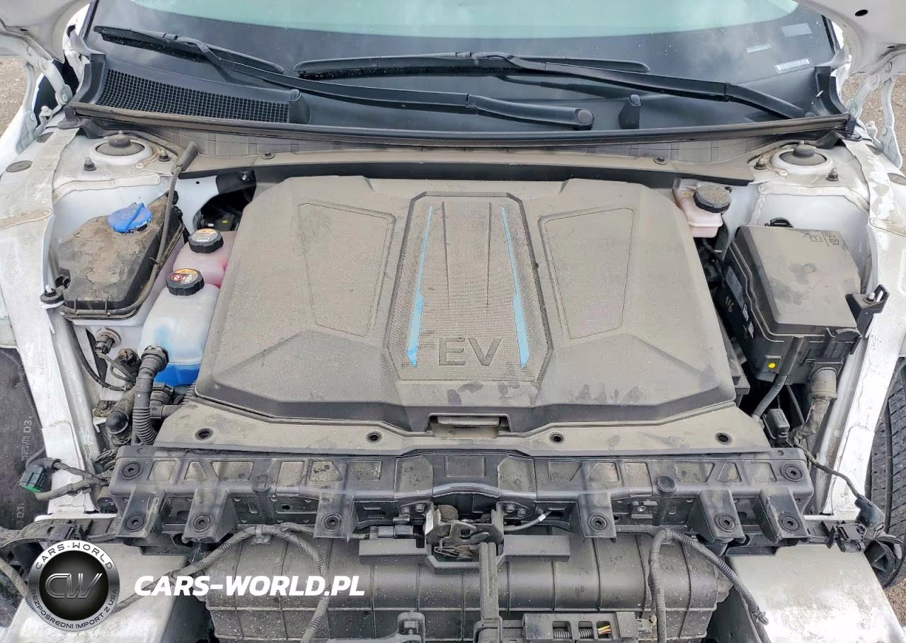 2019 Hyundai Ioniq 5 Sel VIN:KM8KNDAF9PU217534 - 12