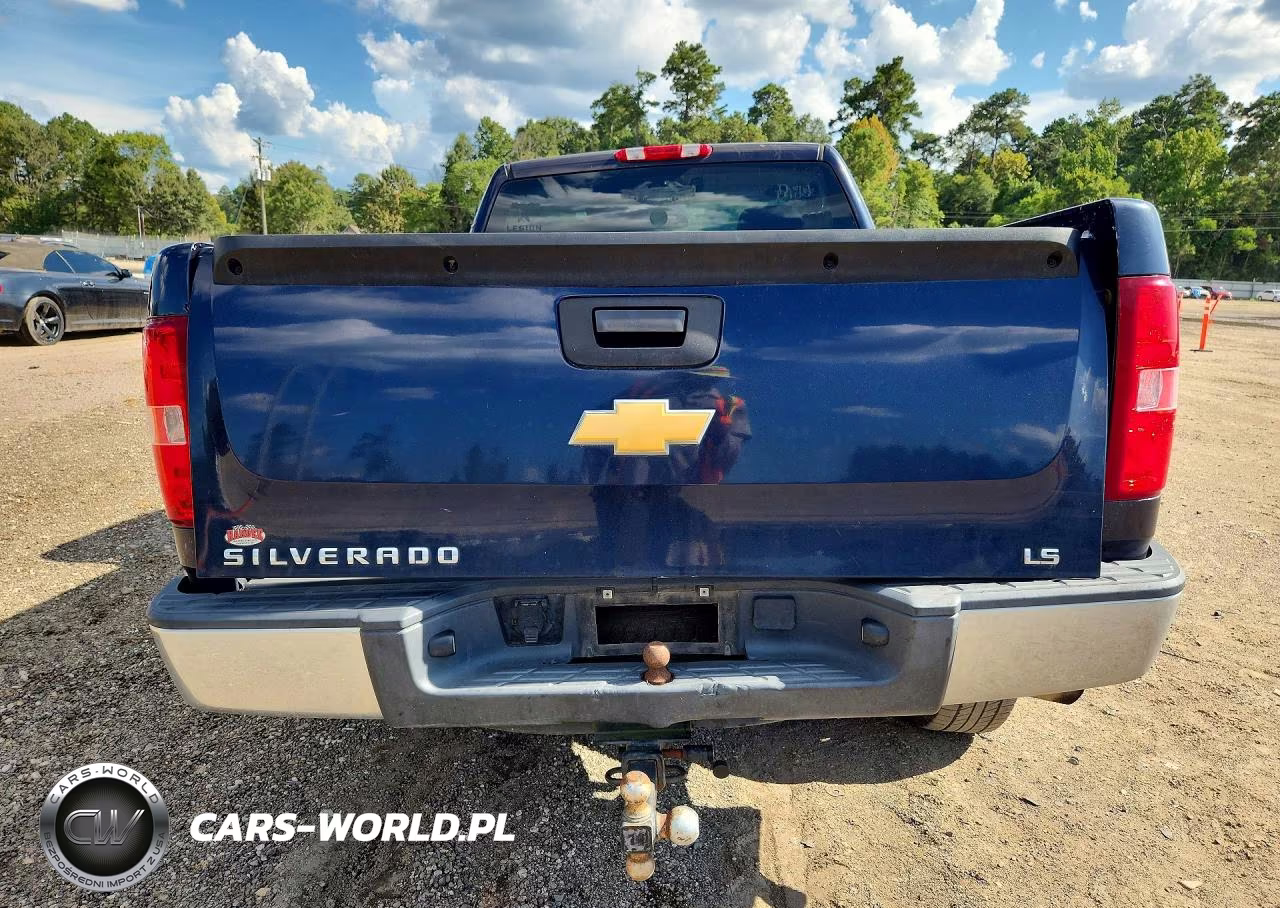 2012 Chevrolet Silverado 1500 VIN:1GCNCPEX8CZ228792 - 6