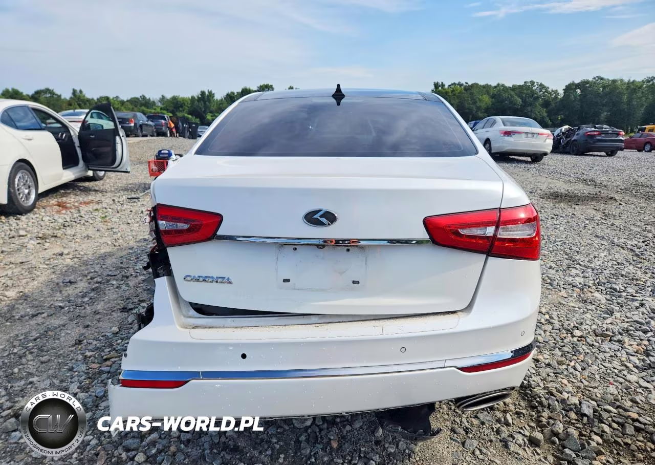 2015 Kia Cadenza Premium VIN:KNALN4D77F5187162 - 6