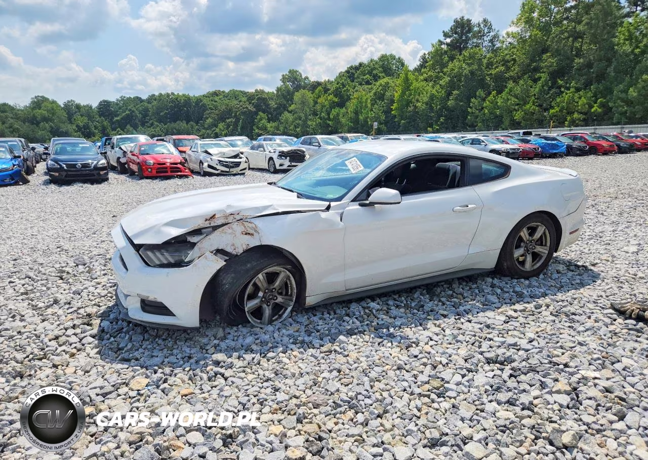 2017 Ford Mustang Base VIN:1FA6P8AM5H5207896 - 1