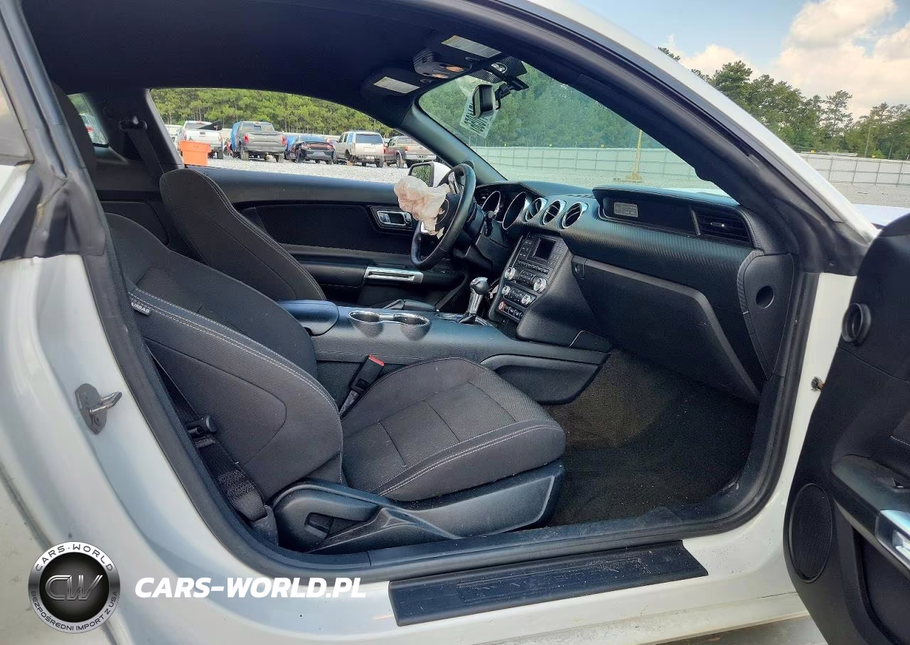 2017 Ford Mustang Base VIN:1FA6P8AM5H5207896 - 10