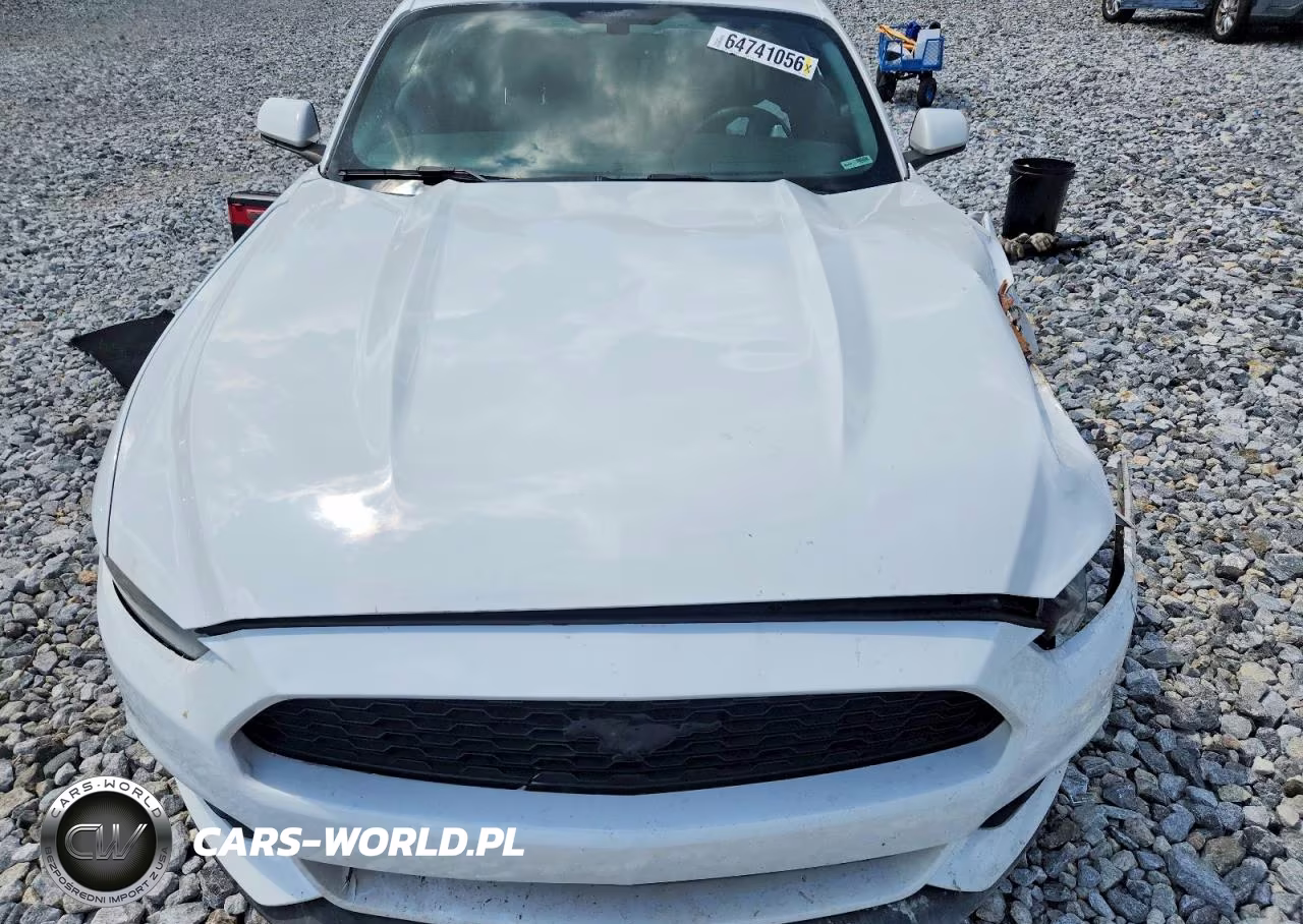 2017 Ford Mustang Base VIN:1FA6P8AM5H5207896 - 11
